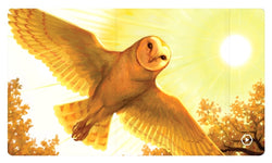 Playmat Heavy Play ETB: Art Master Series - Eric Deschamps