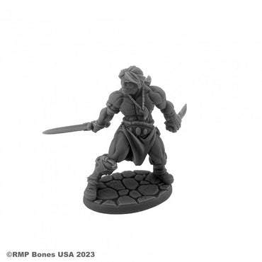 Mini Reaper Bones Dungeon Dwellers: Hyborian Hero