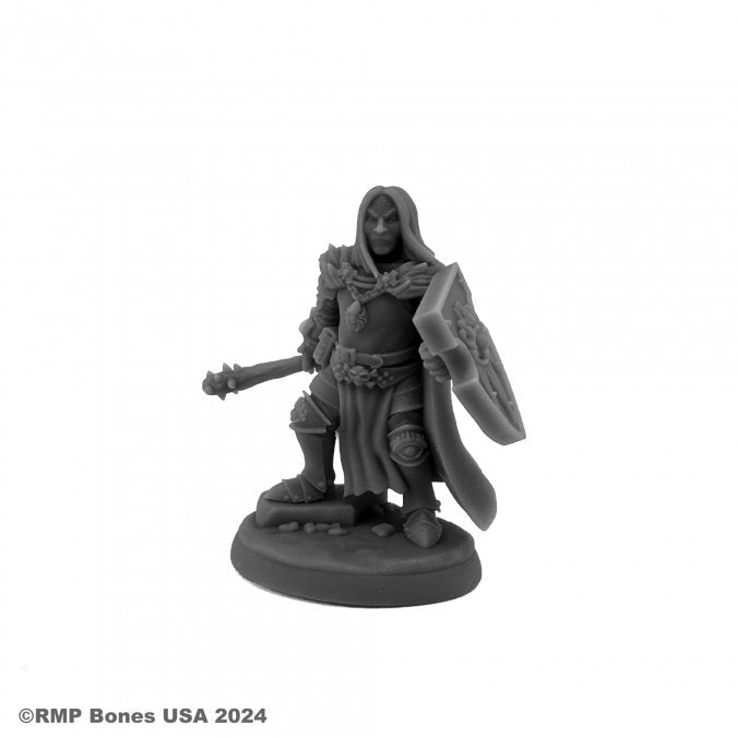 Mini Reaper Dungeon Dwellers: Ascarleth, Evil Cleric