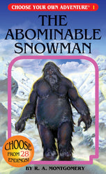 Choose Your Own Adventure: Book