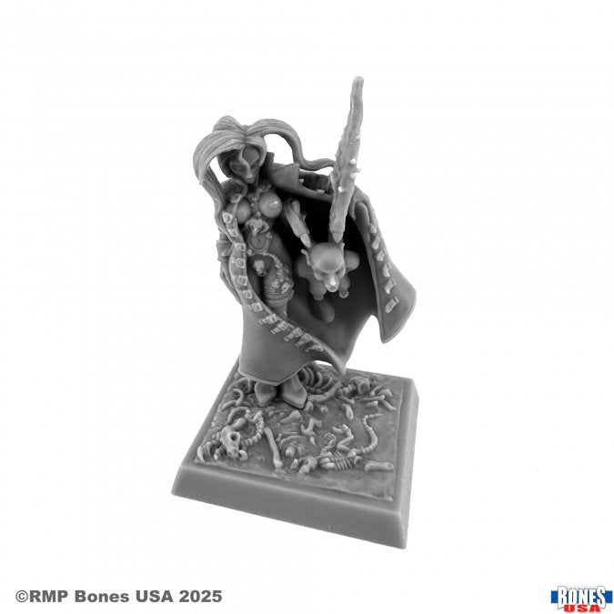 Mini Reaper Bones Legends: Chaos Sorceress