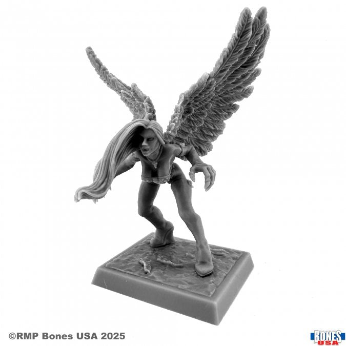 Mini Reaper Bones Legends: Raven