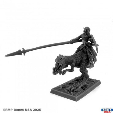 Mini Reaper Bones Legends: Dark Elf Hero on Lizard