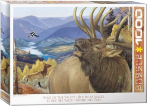 Puzzle Eurographics: 1000 piece King of the Valley by Hayden Lambson