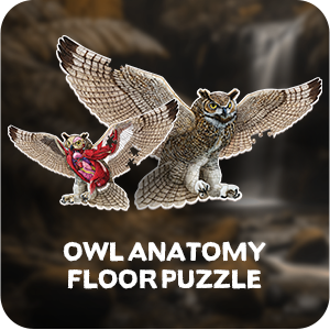 Puzzle Genius: Animal Anatomy: Floor Puzzle: Owl 100pc