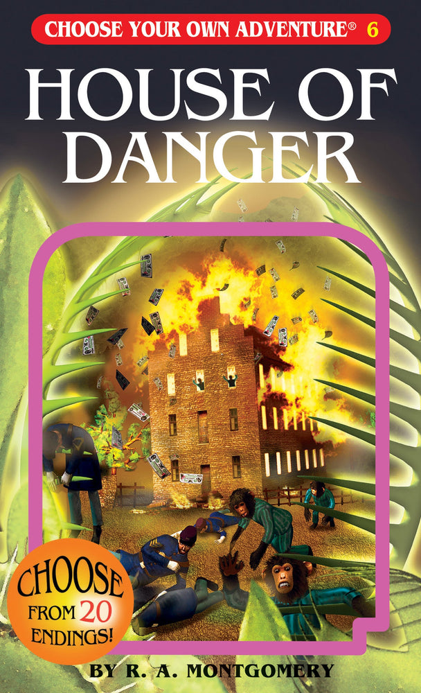 Choose Your Own Adventure: Book
