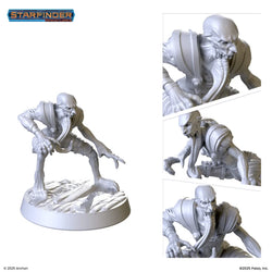 Mini Starfinder: Void Zombies (2)