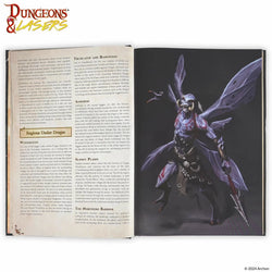 Dungeons & Dragons Deuslair: The World Of... RPG Campaign