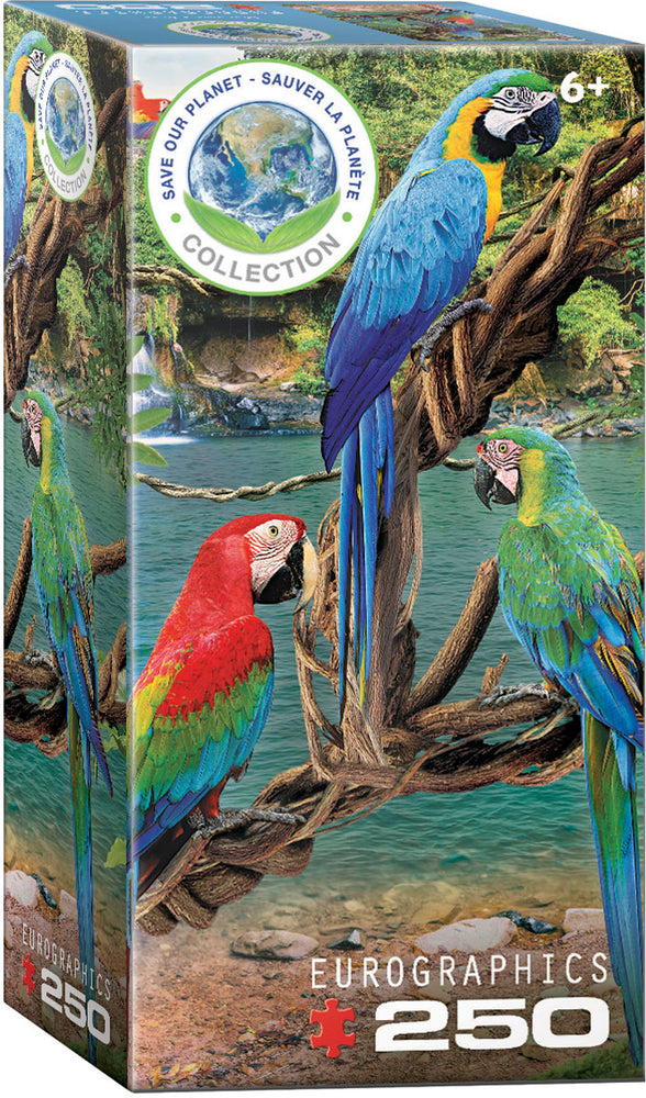 Puzzle Eurographics:  250 piece Macaws