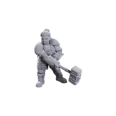 Mini Dungeons & Dragons - Nolzur's Marvelous: 50th Ann Dwarves