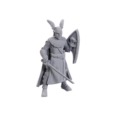 Mini Dungeons & Dragons - Nolzur's Marvelous: 50th Ann Elves