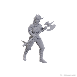 Mini Dungeons & Dragons - Nolzur's Marvelous: SE Baldur's Gate 3: Wyll & Karlach