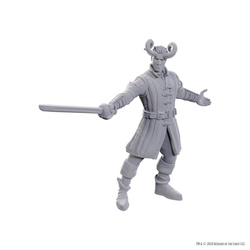 Mini Dungeons & Dragons - Nolzur's Marvelous: SE Baldur's Gate 3: Wyll & Karlach