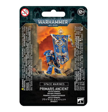 Warhammer 40K Space Marines: Ancient In Terminator Armour
