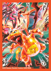 Pokémon: Premium Collection Charizard ex