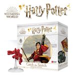 Harry Potter - Catch the Snitch