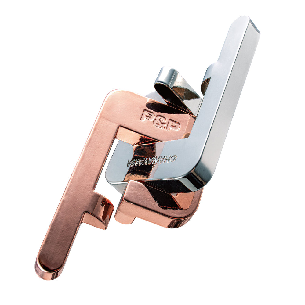 Hanayama: Level 2 P & P