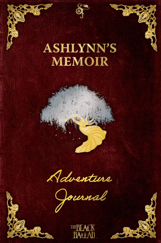 Ashlynn's Memoir: A Rpg Adventure Journal