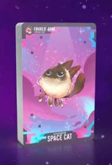 Rocket Ranchers: Space Cat Promo Pack