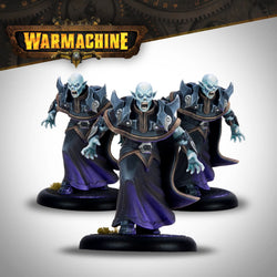 Warmachine: Dusk Fane Nyrro Army Box - Court of Shadows