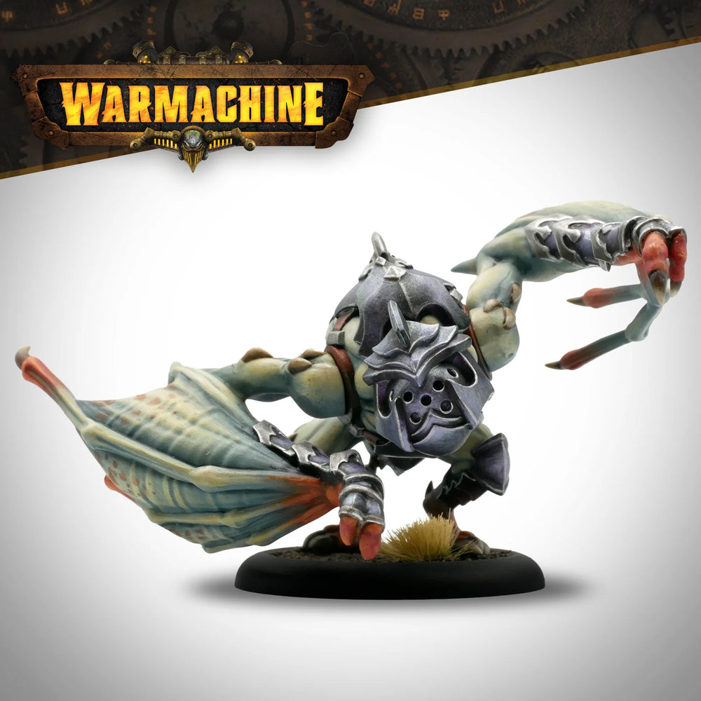 Warmachine: Dusk Fane Nyrro Army Box - Court of Shadows