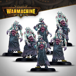 Warmachine: Dusk Fane of Nyrro Army Box - Gathering Darkness