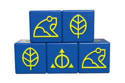 Ashes Ascendancy: Dice Pack