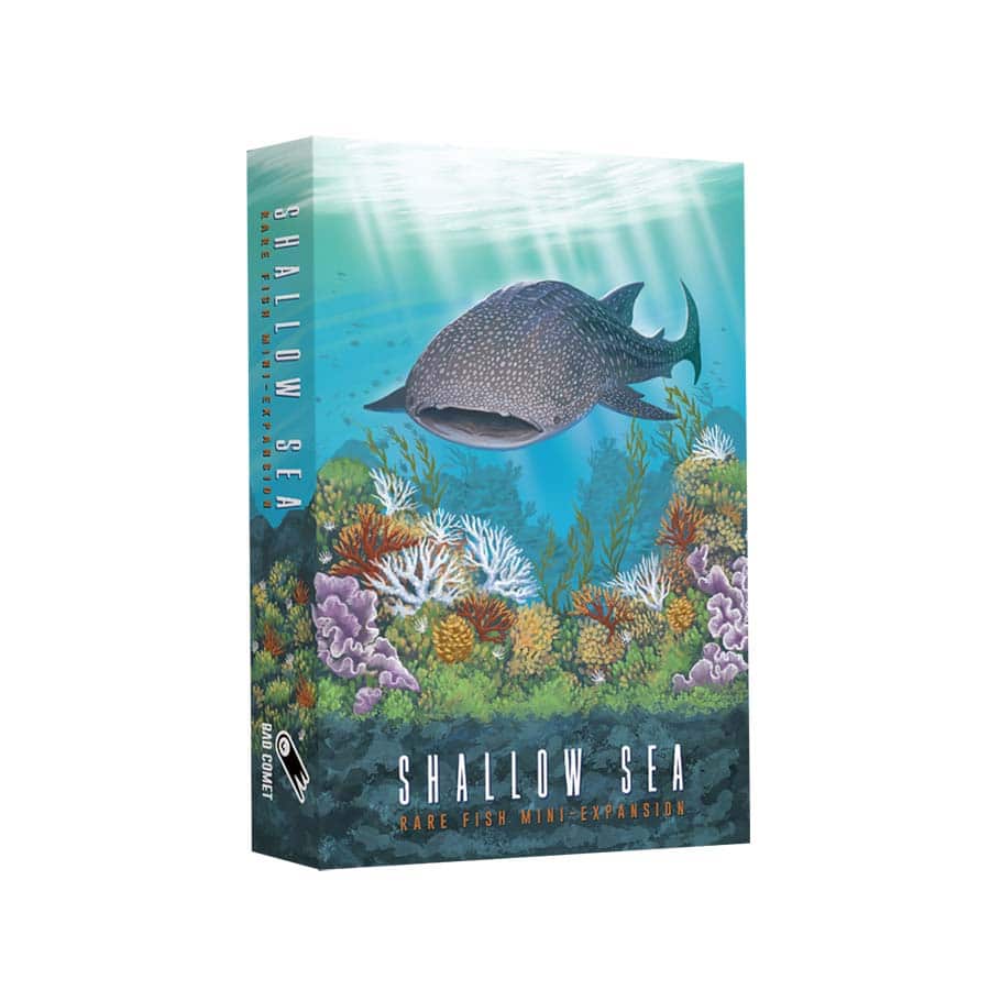 Shallow Sea: Rare Fish