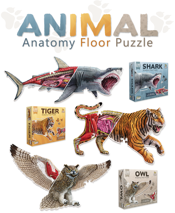 Puzzle Genius: Turn N Learn: Animal Anatomy: Tiger, Owl, & Shark (3)