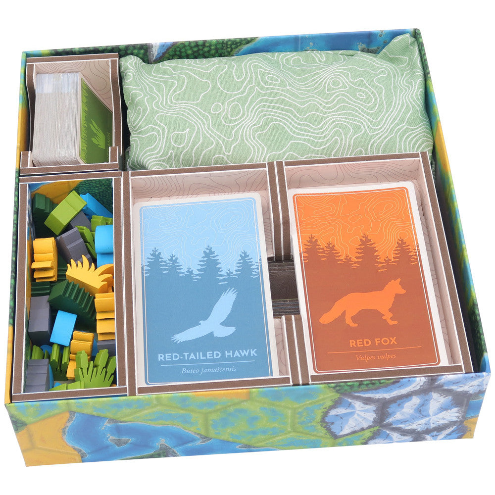 Box Insert Folded: Color: Cascadia