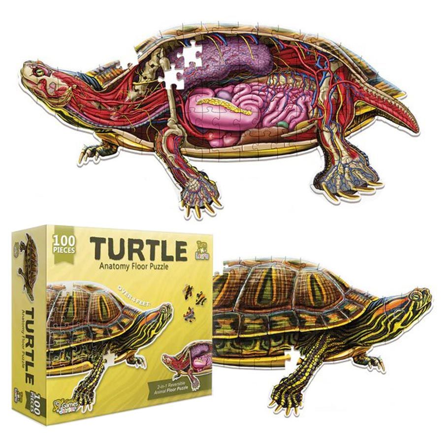 Puzzle Genius: Turn N Learn: Turtle 100pc