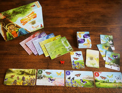 Butterfly Garden