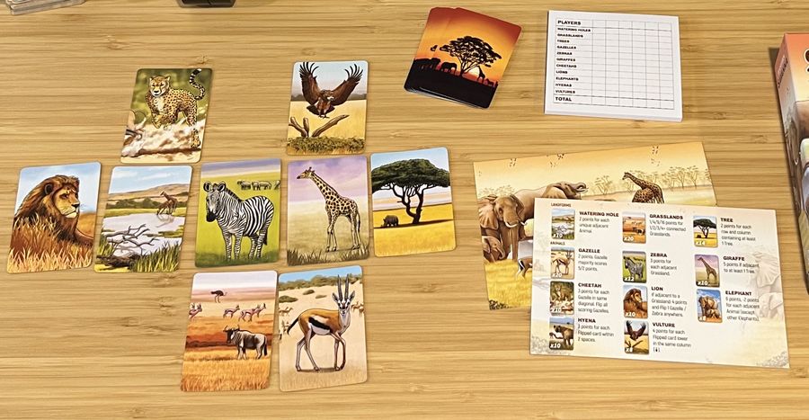 Ecosystem: Savanna