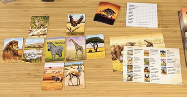 Ecosystem: Savanna