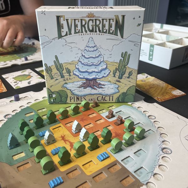 Evergreen: Pines and Cacti