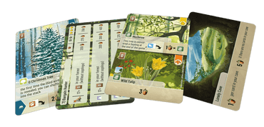 Forest Shuffle: Exploration