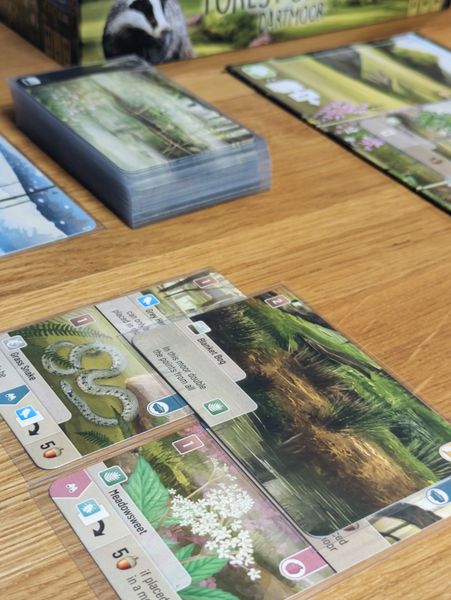 Forest Shuffle: Dartmoor