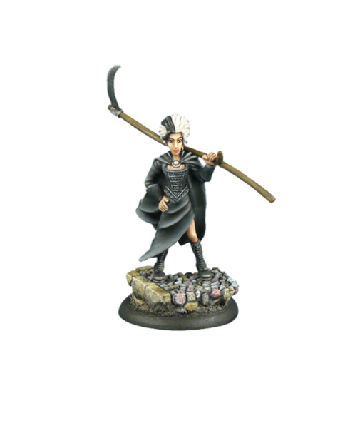 Mini Discworld: Susan Sto Helit (1)