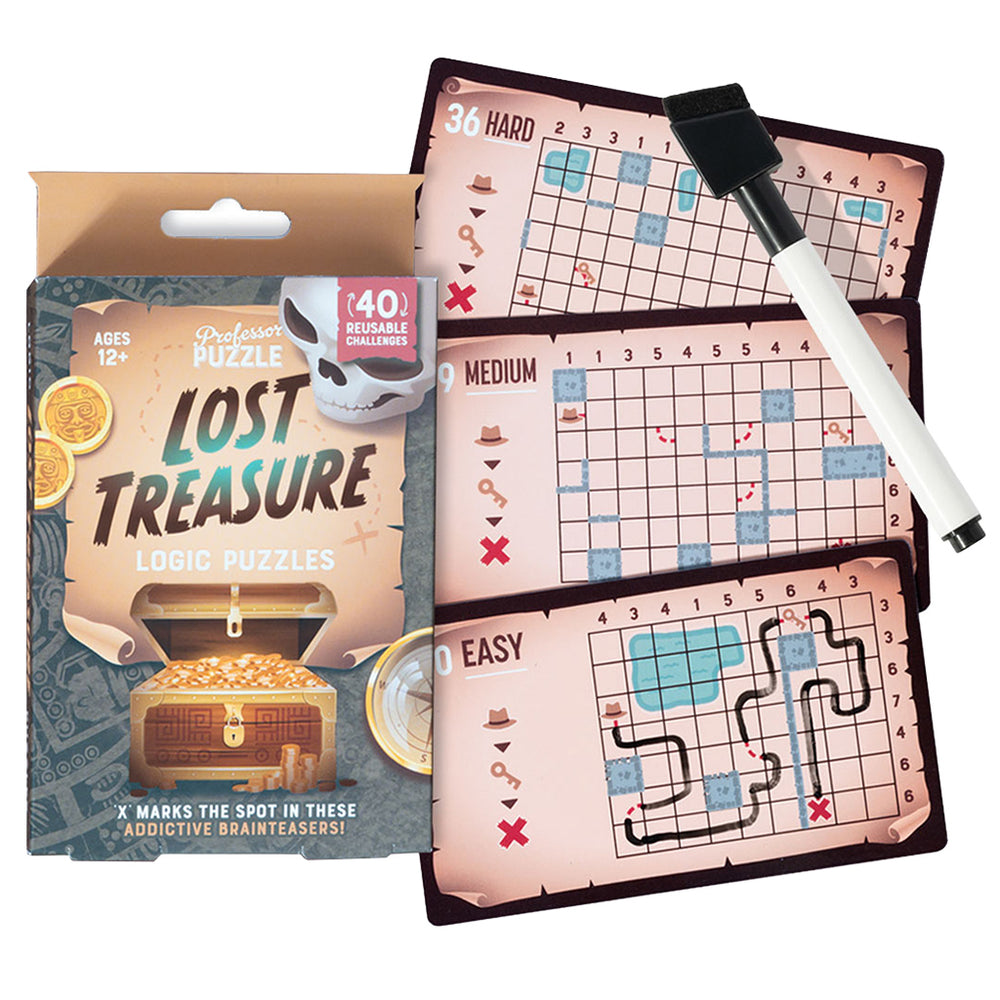 Professor Puzzle Logic Puzzle: Lost Treasure