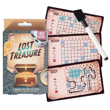 Professor Puzzle Logic Puzzle: Lost Treasure