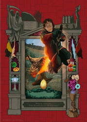 Puzzle Ravensburger: 1000 piece Harry Potter: AT 4