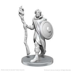 Mini Critical Role: Mollymauk Tealeaf & Caduceus Clay