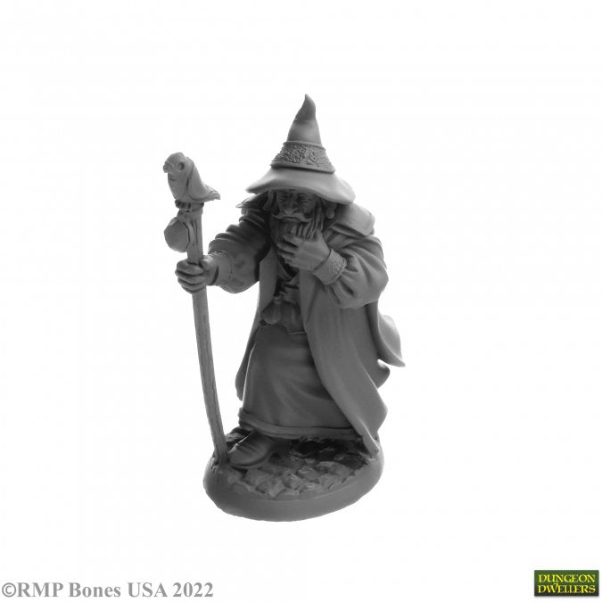 Mini Reaper Legends: Human Wizard: Landol Griwsold