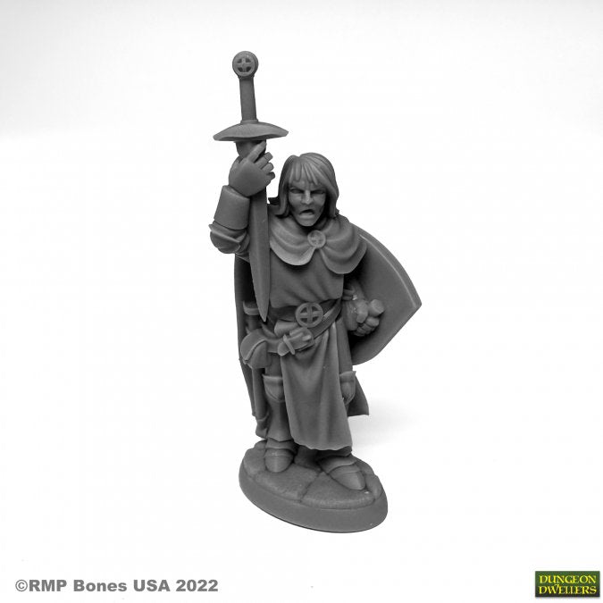Mini Reaper Black: Sir Danarel the Holy