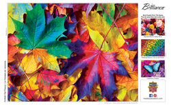 Puzzle Masterpieces:  550 Piece Brilliance - Fall Frenzy