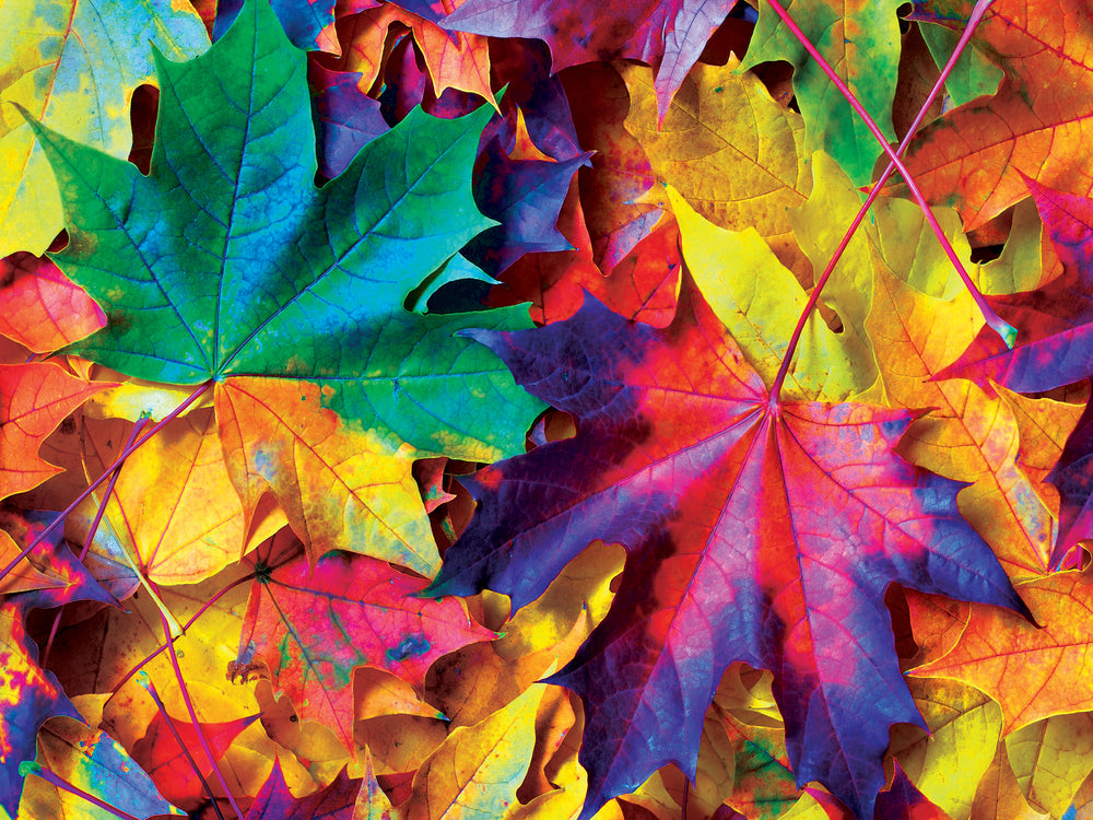 Puzzle Masterpieces:  550 Piece Brilliance - Fall Frenzy