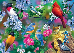 Puzzle Masterpieces: 1000 Piece Audubon - Songbird Collage
