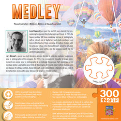 Puzzle Masterpieces:  300 piece EzGrip Medley - Neuschwanstein Balloons