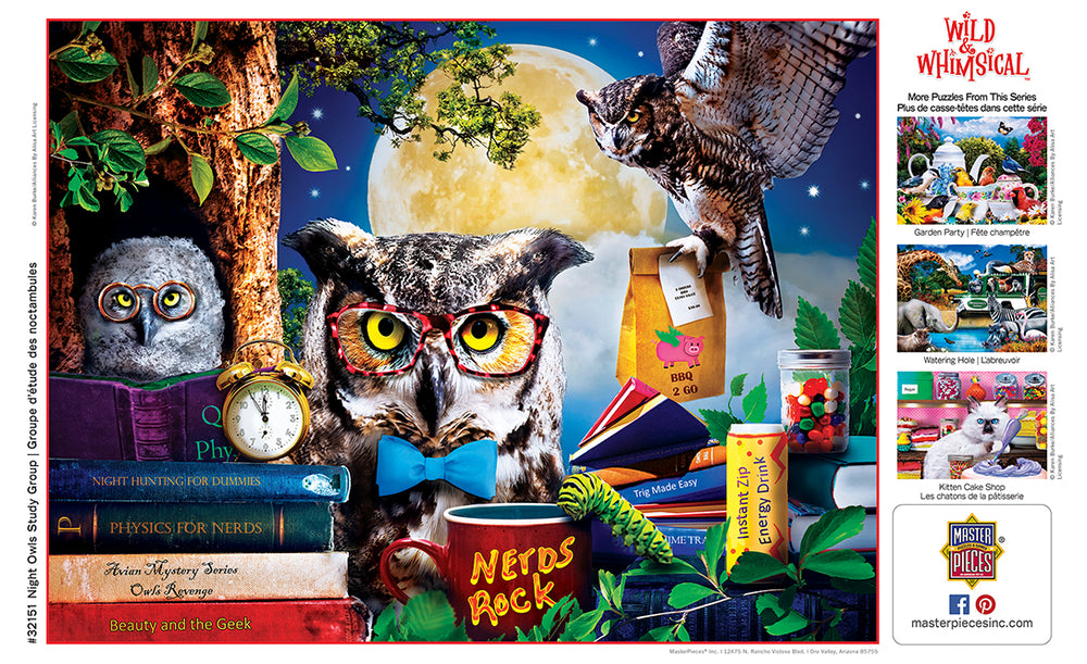 Puzzle Masterpieces:  300 piece EzGrip Wild & Whimsical - Night Owls Study Group