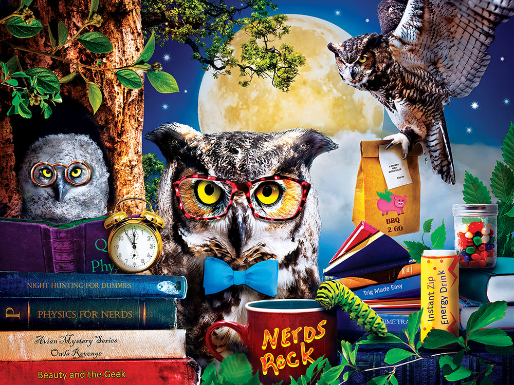 Puzzle Masterpieces:  300 piece EzGrip Wild & Whimsical - Night Owls Study Group